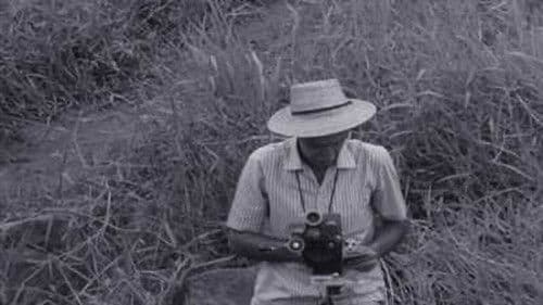 Humberto Mauro Bild 1