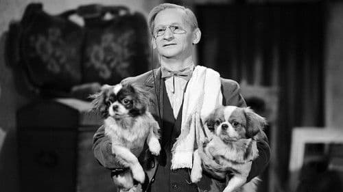 Kalosze szczęścia Bild 5