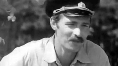 Такие симпатичные волки Bild 1