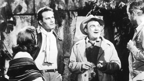 Das Geheimnis der Inkas Bild 6