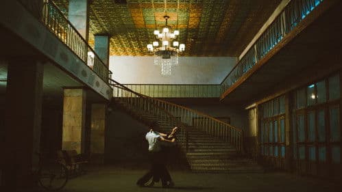 Asche ist reines Weiß Bild 7