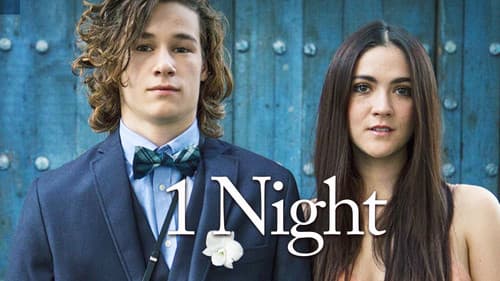 1 Night Bild 4