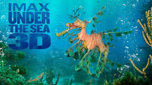 IMAX: Under The Sea 3D Bild 4