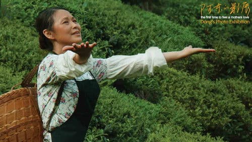 Dong's Photo Exhibition Bild 5