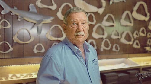 Shark Quest: Hunt For The Apex Predator Bild 3