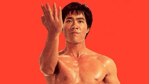 Bruce Lee Superstar Bild 4