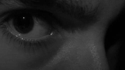 Nada Nadie Nunca Bild 1