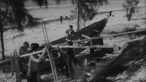 Chị Tư Hậu Bild 6