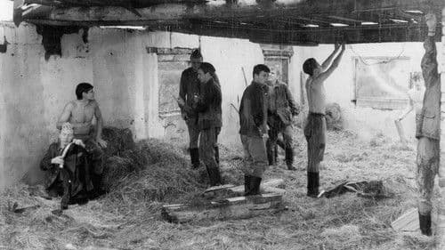 100 Tage, Genosse Soldat Bild 4