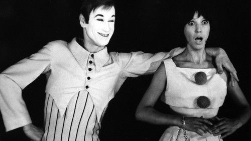 Fräulein Schmetterling Bild 3