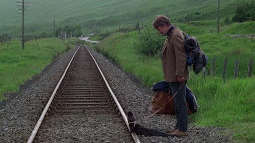 Mein Freund, der Otter Bild 2