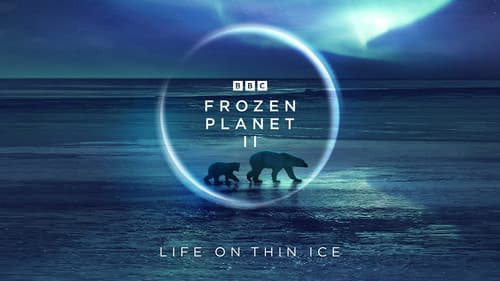 Eisige Welten II Bild 2