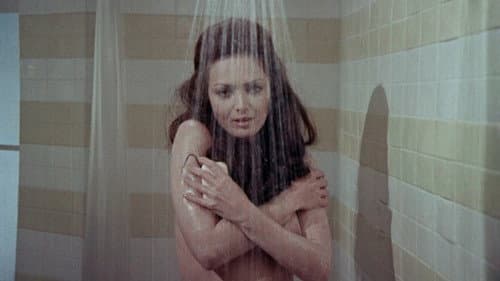 Die Mühle der Jungfrauen Bild 1