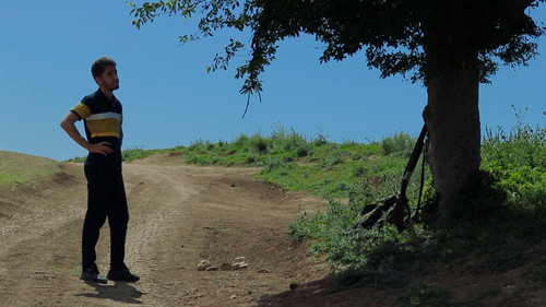 Lunch with Tree Bild 1