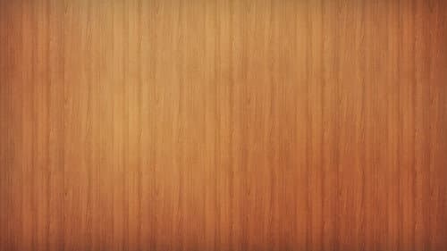 More for the Astronauts Bild 1