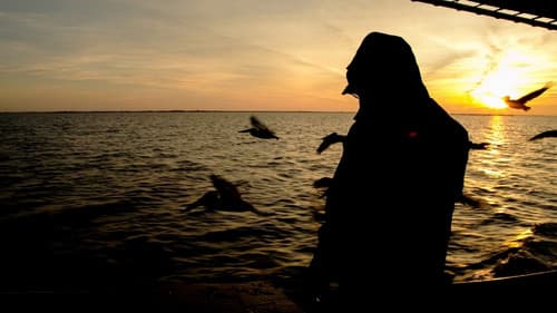 Isleños: A Root of America Bild 2