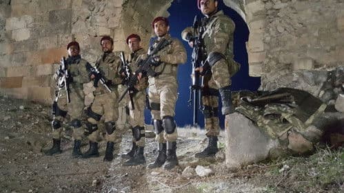 Bordo Bereliler: Suriye Bild 1