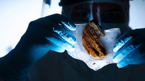 Clotilda - Amerikas letztes Sklavenschiff Bild 2