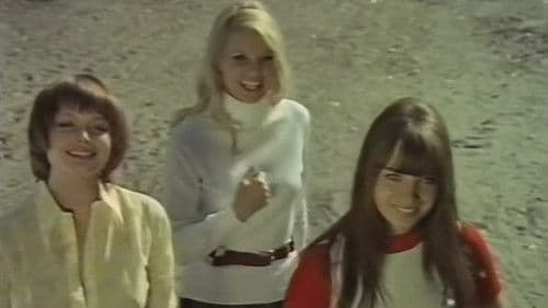 Die liebestollen Baronessen Bild 1