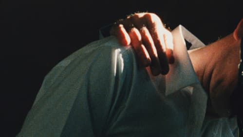 The Hedge Theater Bild 1