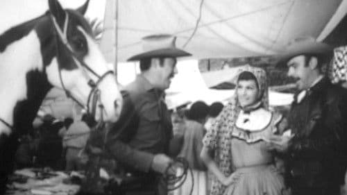 Un par de sinvergüenzas Bild 1