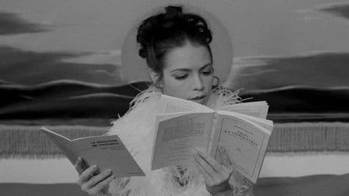 Un succès commercial Bild 4