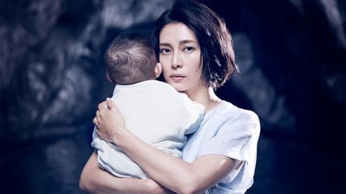 Das Haus am Hang Bild 2