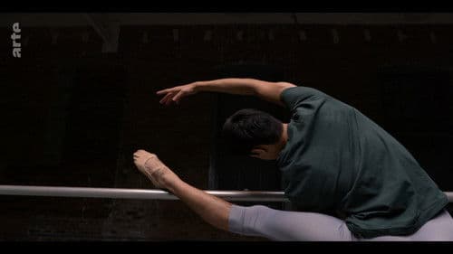 Call Me Dancer - Von Mumbai nach New York Bild 2