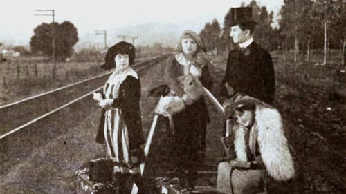 The Smart Sex Bild 1