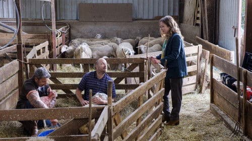 La Doc et le Véto Bild 1