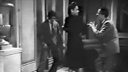 Loucos Por Música Bild 1