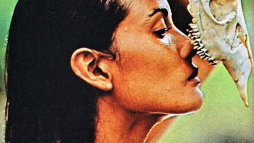 Die Gnadenlosen Sieben Bild 2