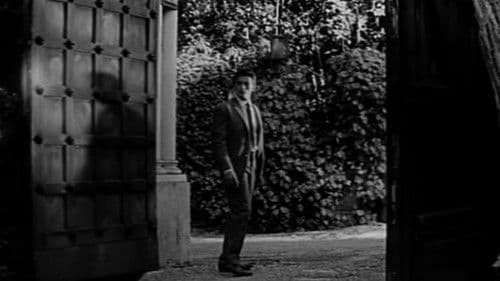 Wie Raubkatzen Bild 3