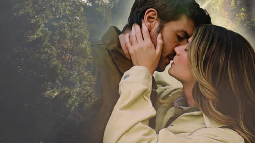 Someone Like You Bild 3