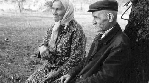 The Hand of Stalin Bild 1