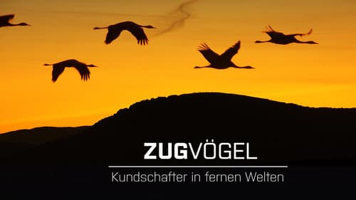 Zugvögel - Kundschafter in fernen Welten Bild 1