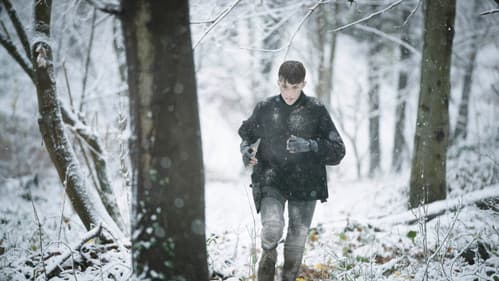 SAS: Alarm im Eurotunnel Bild 6