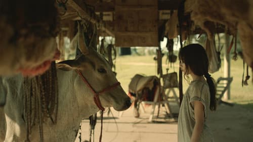 Minha Mae E Uma Vaca Bild 1