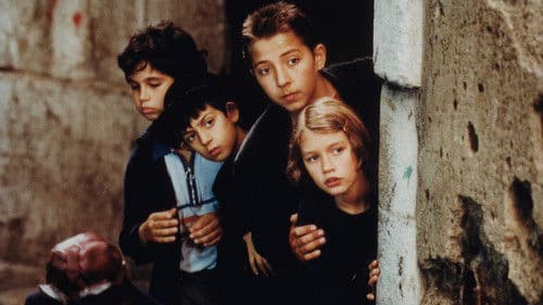 Katja und der Falke Bild 3