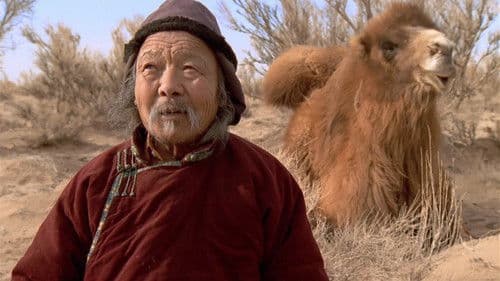 Die Geschichte vom weinenden Kamel Bild 1