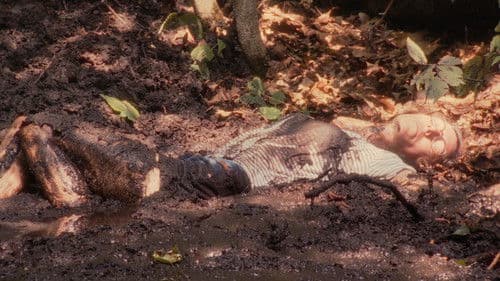 Cauchemar Conseil Bild 5