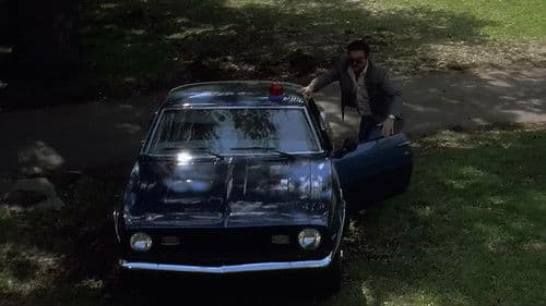 Ein Cop und ein Halber Bild 5