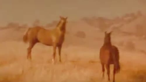 Iron and Horse Bild 1