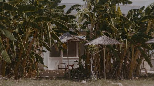 Callas, Darling Bild 6