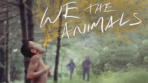 We the Animals Bild 5