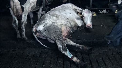 Food for Profit Bild 3