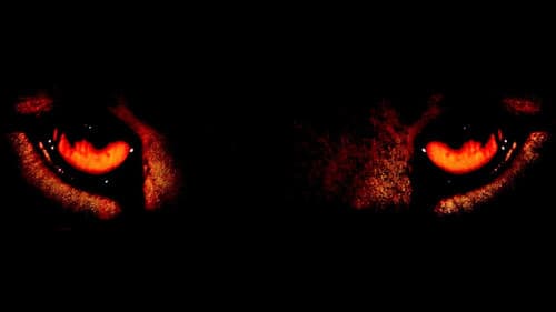 Der Geist und die Dunkelheit Bild 2