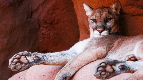 Wildes Mexiko Bild 6