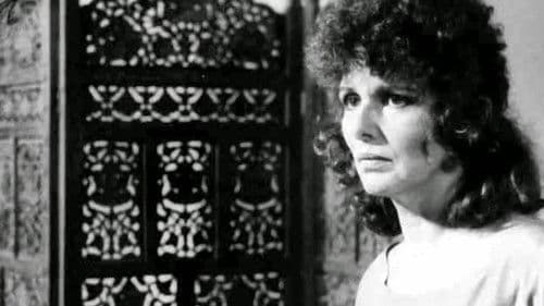 Que Bom Te Ver Viva Bild 2