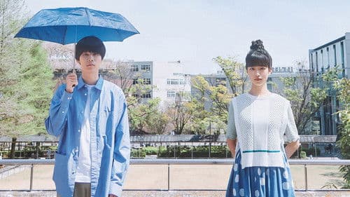 今日の空が一番好き、とまだ言えない僕は Bild 1